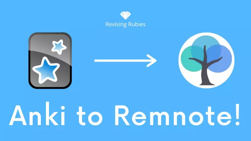 Transitioning from Anki to RemNote